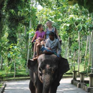 Elephant Ride Tour